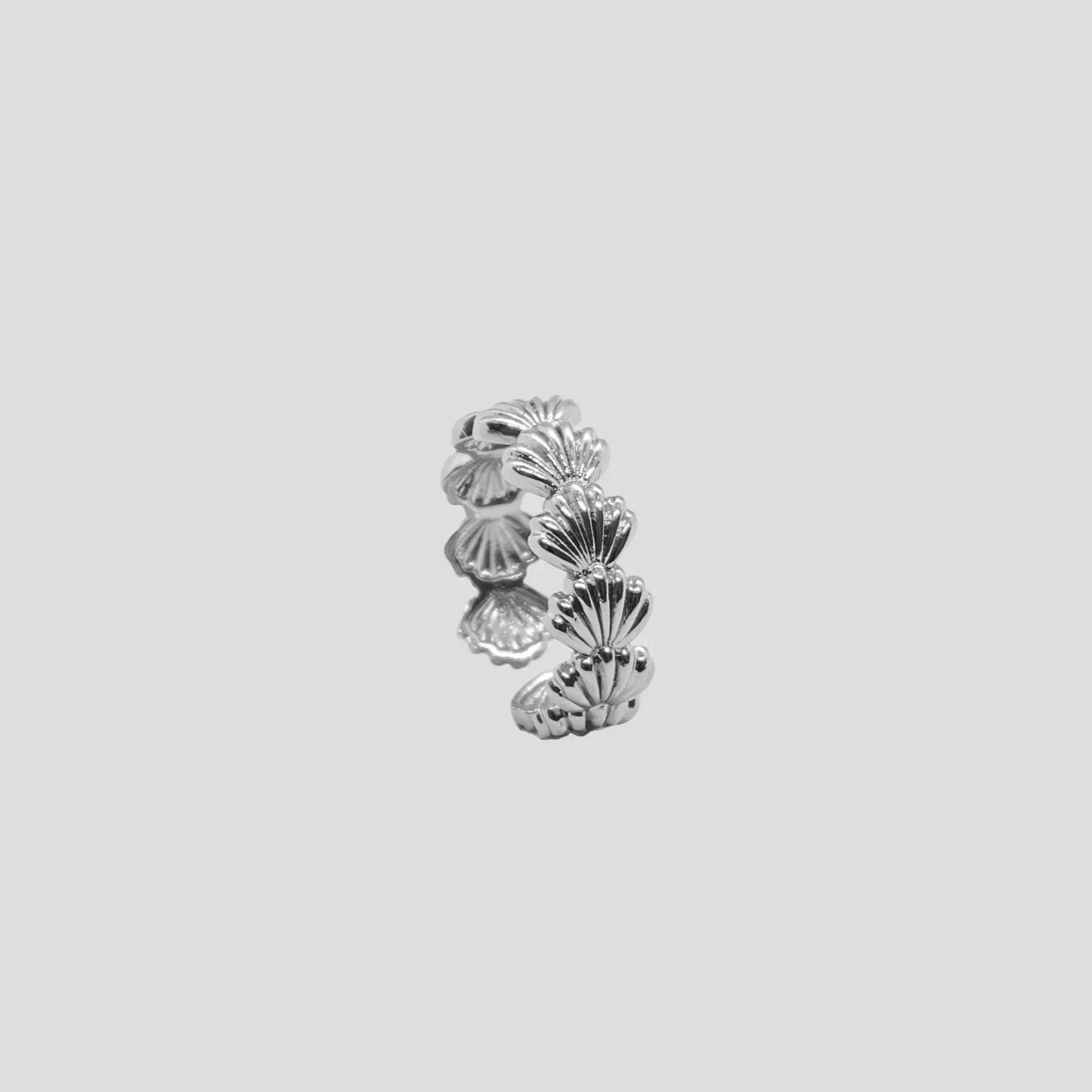 Anillo Shell