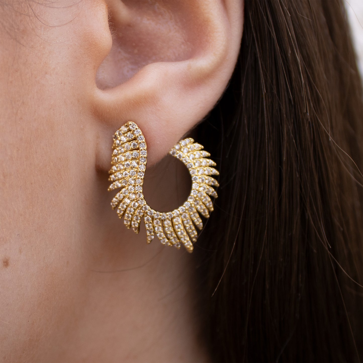 Pendientes Phoenix Wings