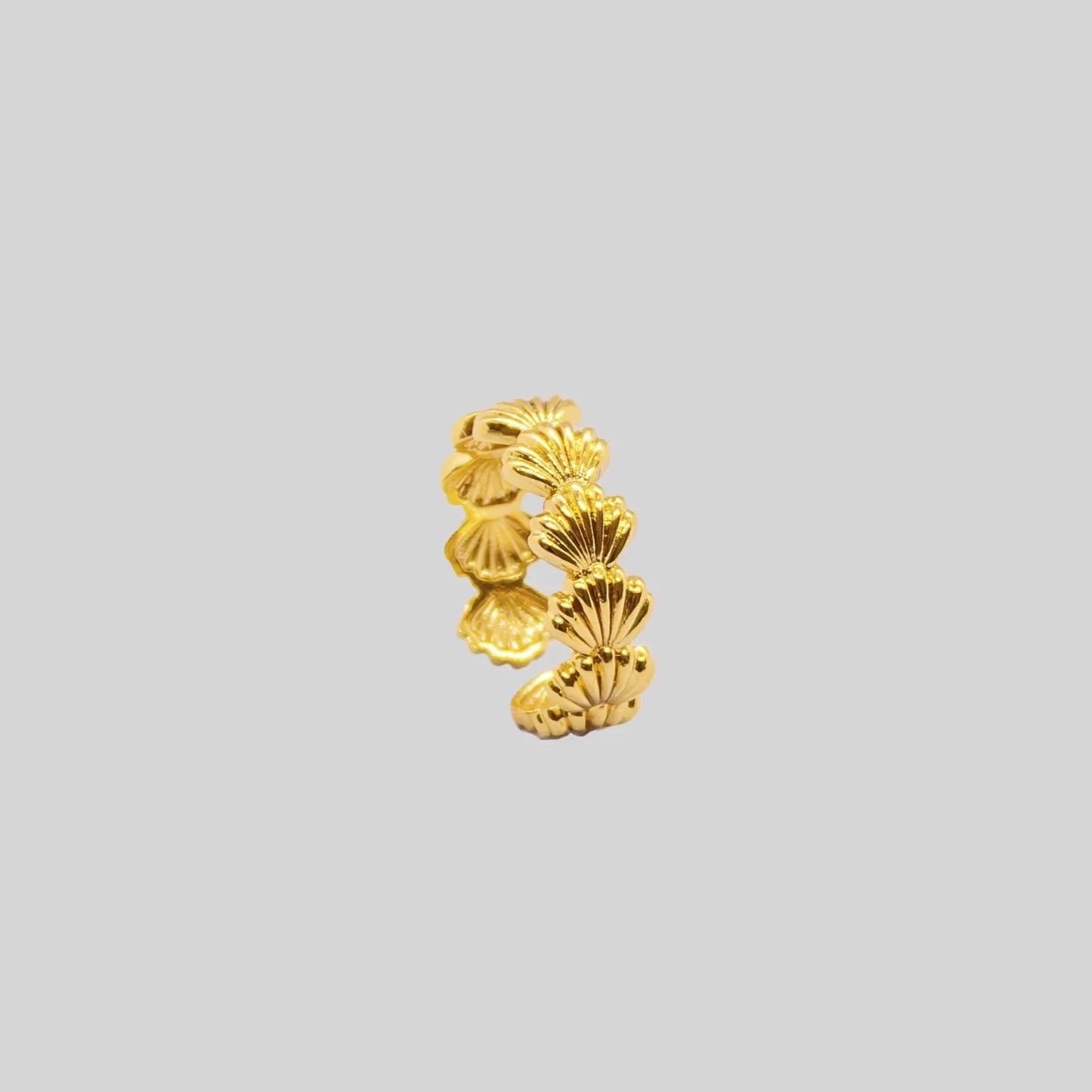 Anillo Shell