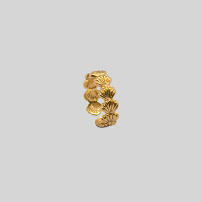 Anillo Shell
